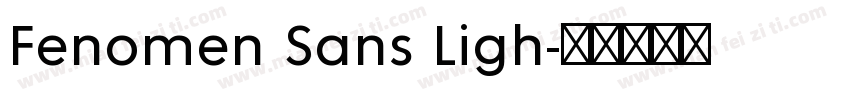 Fenomen Sans Ligh字体转换